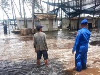Foto: Kondisi terkini sejumlah warung di pesisir pantai Jember yang hancur usai diterjang banjir air rob.