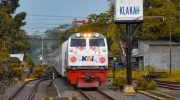 Foto: Kereta Api Pandalungan dengan rute Jakarta Gambir - Jember.