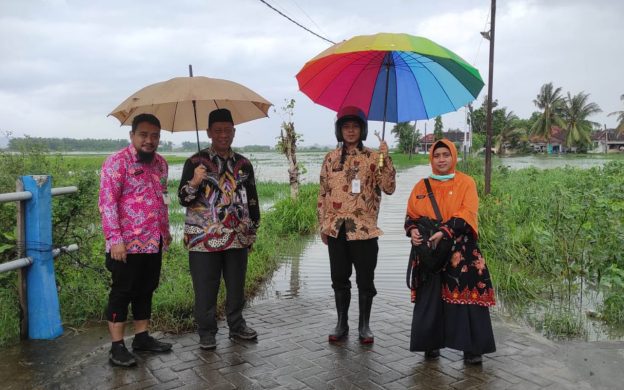 Foto: Kepala DKPP Sumenep, Chainur Rasyid saat meninjau langsung lahan pertanian yang terdampak banjir di Desa Patean, Kecamatan Batuan, Kabupaten Sumenep.