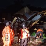 Foto: Kondisi rumah warga Jember yang tertimpa pohon tumbang akibat hujan deras disertai angin kencang.
