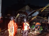 Foto: Kondisi rumah warga Jember yang tertimpa pohon tumbang akibat hujan deras disertai angin kencang.