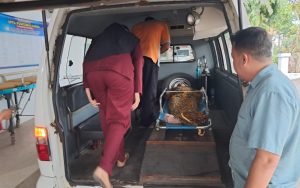 Wisatawan Asal Gresik Tewas Terseret Ombak Besar di Pantai Paseban Jember