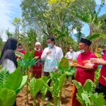 FOTO: Tim Dinas Ketahanan Pangan dan Pertanian (DKPP) Sumenep bersama Bagian Energi dan Sumber Daya Alam (ESDA) Setkab Sumenep, saat meninjau kondisi tembakau usai acara monitoring, beberapa waktu lalu. (Panji Agira/wartazone.com)