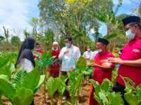 FOTO: Tim Dinas Ketahanan Pangan dan Pertanian (DKPP) Sumenep bersama Bagian Energi dan Sumber Daya Alam (ESDA) Setkab Sumenep, saat meninjau kondisi tembakau usai acara monitoring, beberapa waktu lalu. (Panji Agira/wartazone.com)