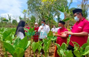 Perusahaan Rokok Lokal Sumbang Tingginya Harga Tembakau di Sumenep