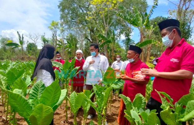 FOTO: Tim Dinas Ketahanan Pangan dan Pertanian (DKPP) Sumenep bersama Bagian Energi dan Sumber Daya Alam (ESDA) Setkab Sumenep, saat meninjau kondisi tembakau usai acara monitoring, beberapa waktu lalu. (Panji Agira/wartazone.com)
