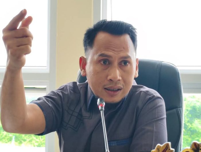 FOTO: Ketua Komisi II DPRD Sumenep, Irwan Hayat. (Ist/wartazone.com)