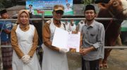 FOTO: Launching Ternak Kurban Sehat ditandai dengan penyerahan sertifikat oleh Bupati Pamekasan, Senin (19/5/2025).