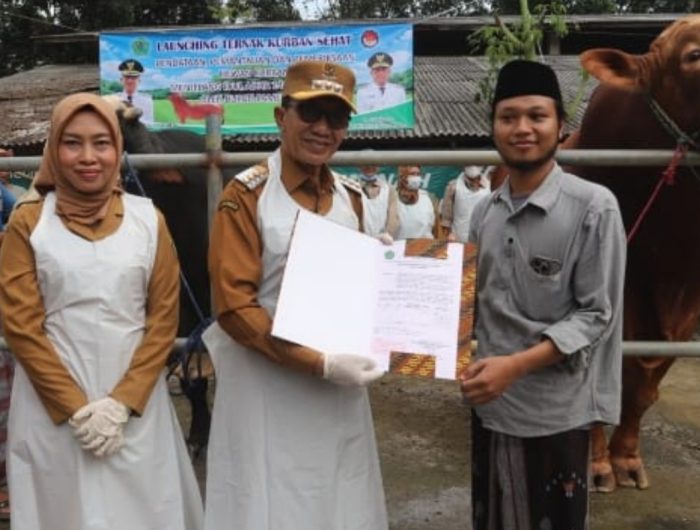 FOTO: Launching Ternak Kurban Sehat ditandai dengan penyerahan sertifikat oleh Bupati Pamekasan, Senin (19/5/2025).