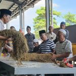 FOTO: H. Mukmin (tengah songkok putih) bersama tim Perusahaan Rokok (PR) Bahagia saat melakukan sortir kualitas tembakau musim panen 2025. (Panji Agira/wartazone.com)