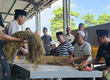 FOTO: H. Mukmin (tengah songkok putih) bersama tim Perusahaan Rokok (PR) Bahagia saat melakukan sortir kualitas tembakau musim panen 2025. (Panji Agira/wartazone.com)