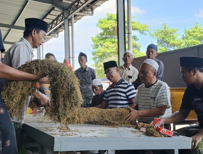 FOTO: H. Mukmin (tengah songkok putih) bersama tim Perusahaan Rokok (PR) Bahagia saat melakukan sortir kualitas tembakau musim panen 2025. (Panji Agira/wartazone.com)