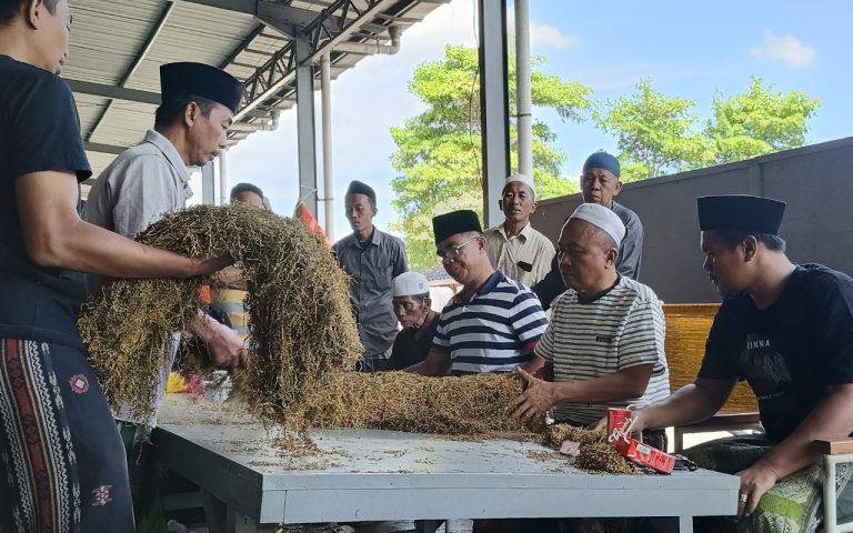 FOTO: H. Mukmin (tengah songkok putih) bersama tim Perusahaan Rokok (PR) Bahagia saat melakukan sortir kualitas tembakau musim panen 2025. (Panji Agira/wartazone.com)