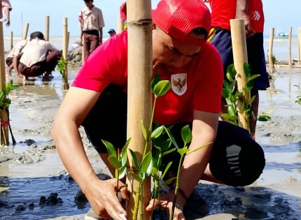 FOTO: Perkumpulan alumni beasiswa KOICA Scholarship Alumni (KOSA), melibatkan kelompok masyarakat Reng Paseser, Arudam Farm, SMP Binar Sumenep, SMK Nasyirul Ulum Bluto, serta warga Desa Aengbaja Kenek, saat menggelar penanaman mangrove di Sumenep pada Sabtu (30/8/2025).