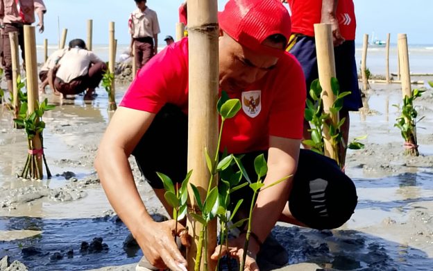 FOTO: Perkumpulan alumni beasiswa KOICA Scholarship Alumni (KOSA), melibatkan kelompok masyarakat Reng Paseser, Arudam Farm, SMP Binar Sumenep, SMK Nasyirul Ulum Bluto, serta warga Desa Aengbaja Kenek, saat menggelar penanaman mangrove di Sumenep pada Sabtu (30/8/2025).