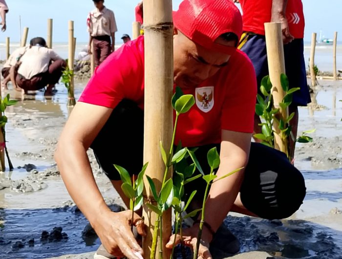 FOTO: Perkumpulan alumni beasiswa KOICA Scholarship Alumni (KOSA), melibatkan kelompok masyarakat Reng Paseser, Arudam Farm, SMP Binar Sumenep, SMK Nasyirul Ulum Bluto, serta warga Desa Aengbaja Kenek, saat menggelar penanaman mangrove di Sumenep pada Sabtu (30/8/2025).