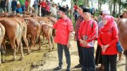 FOTO: Bupati Sumenep, Achmad Fauzi Wongsojudo, saat menyerahkan hewan kurban kepada sejumlah perwakilan penerima bantuan, di halaman Masjid Fathimah Binti Said Ghauzan, Kecamatan Manding, Selasa (26/5/2026).