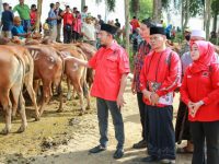 FOTO: Bupati Sumenep, Achmad Fauzi Wongsojudo, saat menyerahkan hewan kurban kepada sejumlah perwakilan penerima bantuan, di halaman Masjid Fathimah Binti Said Ghauzan, Kecamatan Manding, Selasa (26/5/2026).
