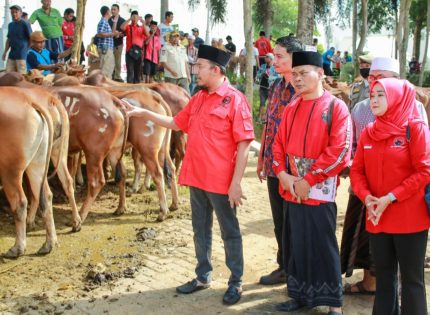 FOTO: Bupati Sumenep, Achmad Fauzi Wongsojudo, saat menyerahkan hewan kurban kepada sejumlah perwakilan penerima bantuan, di halaman Masjid Fathimah Binti Said Ghauzan, Kecamatan Manding, Selasa (26/5/2026).