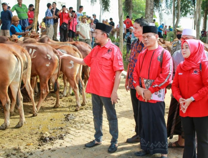 FOTO: Bupati Sumenep, Achmad Fauzi Wongsojudo, saat menyerahkan hewan kurban kepada sejumlah perwakilan penerima bantuan, di halaman Masjid Fathimah Binti Said Ghauzan, Kecamatan Manding, Selasa (26/5/2026).