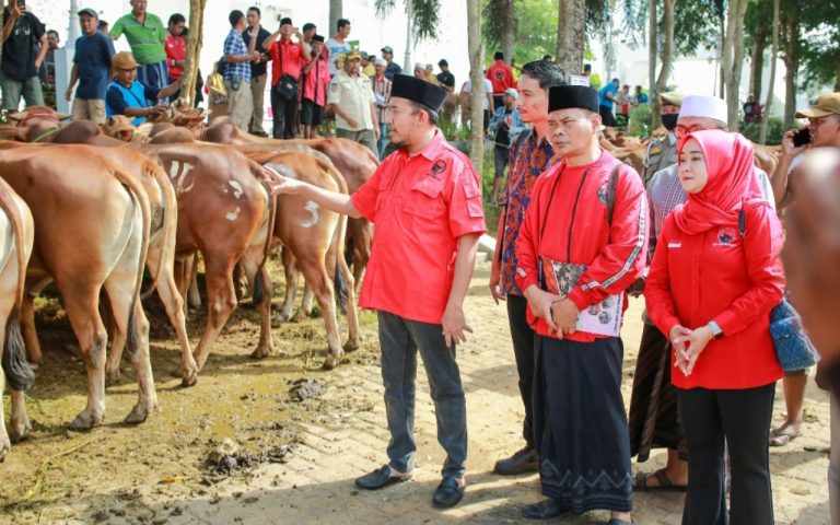 FOTO: Bupati Sumenep, Achmad Fauzi Wongsojudo, saat menyerahkan hewan kurban kepada sejumlah perwakilan penerima bantuan, di halaman Masjid Fathimah Binti Said Ghauzan, Kecamatan Manding, Selasa (26/5/2026).