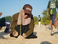 FOTO: Mahasiswa KKN Universitas Ibrahimy Sukorejo, Situbondo, bersama Karang Taruna Laskar Obor, SKK Migas–Kangean Energy Indonesia (KEI), menggelar aksi penanaman bibit mangrove di Desa Pagerungan Besar, Kecamatan Sapeken, Kabupaten Sumenep. (Panji Agira/wartazone.com)
