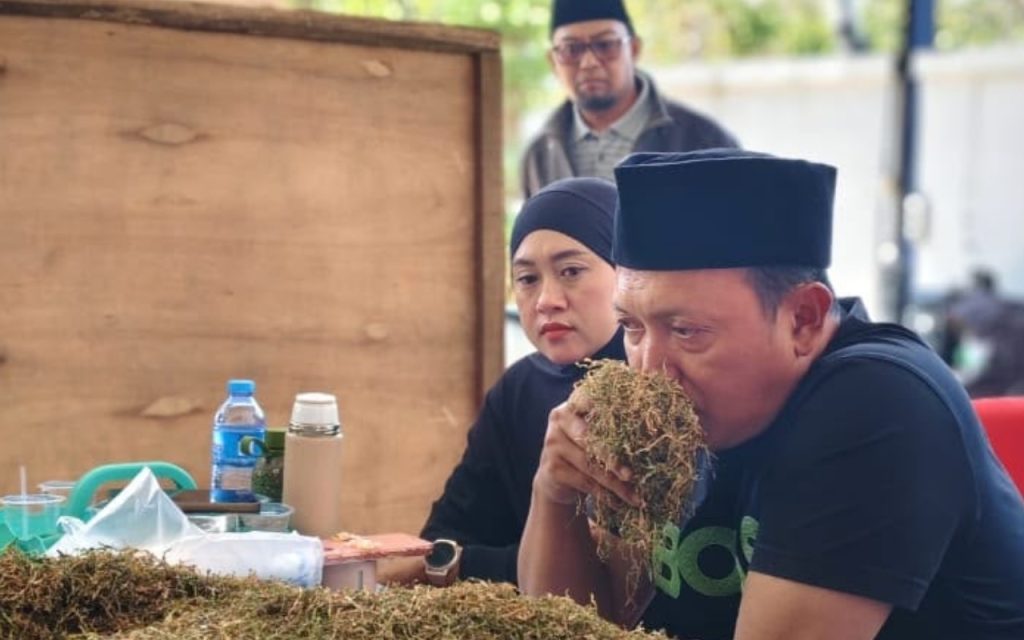 Serapan Tembakau Sumenep Mulai Bergerak, Haswal Group Buka Pembelian Perdana