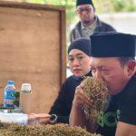 FOTO: Haswal Group membuka pembelian perdana tembakau hasil produksi petani Sumenep pada Senin (24/8/2026).