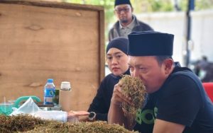 Serapan Tembakau Sumenep Mulai Bergerak, Haswal Group Buka Pembelian Perdana