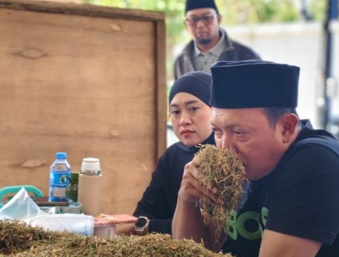 FOTO: Haswal Group membuka pembelian perdana tembakau hasil produksi petani Sumenep pada Senin (24/8/2026).