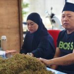 FOTO: Owner Haswal Group, H. Nurul Ghufron, mengecek kualitas tembakau hasil produksi petani Sumenep saat pembelian perdana. Senin (24/8/2026), di gudang utama Haswal Group, Desa Takong, Kecamatan Lenteng.