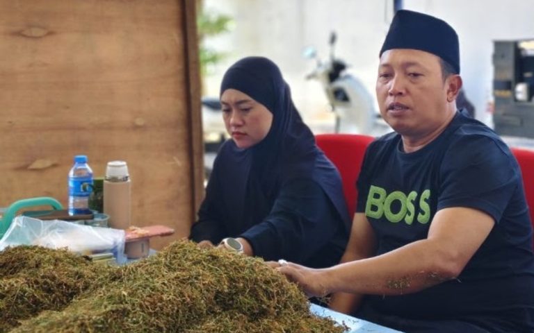 FOTO: Owner Haswal Group, H. Nurul Ghufron, mengecek kualitas tembakau hasil produksi petani Sumenep saat pembelian perdana. Senin (24/8/2026), di gudang utama Haswal Group, Desa Takong, Kecamatan Lenteng.