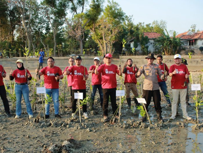 FOTO: Pengurus Jaringan Media Siber Indonesia (JMSI) Kabupaten Sumenep, menggelar penanaman 1.500 bibit mangrove, di kawasan wisata Spot Pancing Pantai Matahari, Desa Lobuk, Kecamatan Bluto, Sumenep, Jumat (28/8/2026). (Panji Agira/wartazone.com)