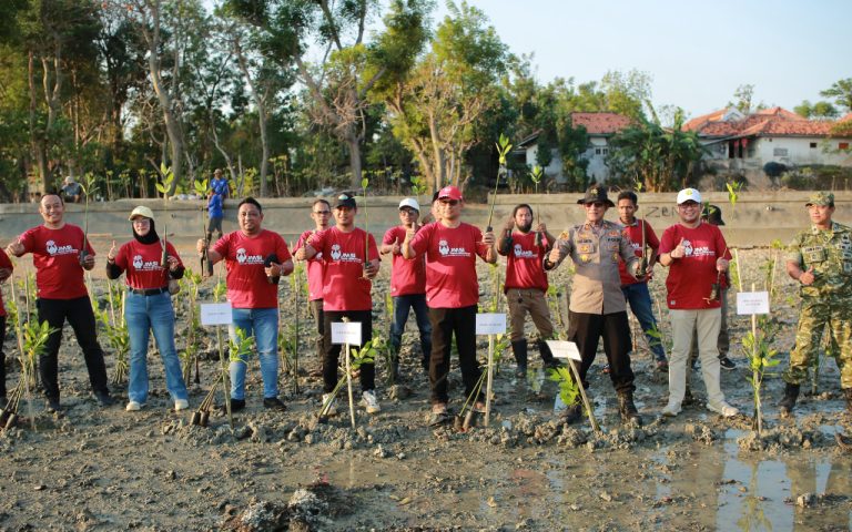FOTO: Pengurus Jaringan Media Siber Indonesia (JMSI) Kabupaten Sumenep, menggelar penanaman 1.500 bibit mangrove, di kawasan wisata Spot Pancing Pantai Matahari, Desa Lobuk, Kecamatan Bluto, Sumenep, Jumat (28/8/2026). (Panji Agira/wartazone.com)